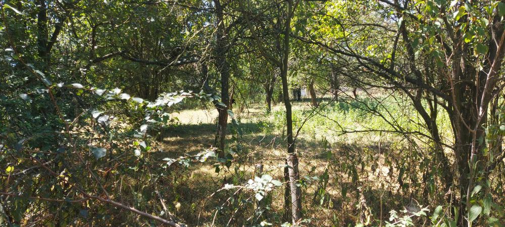 Продава се Парцел в Перник, Църква - 1440 кв.м за 46 €/кв.м - Снимка #10