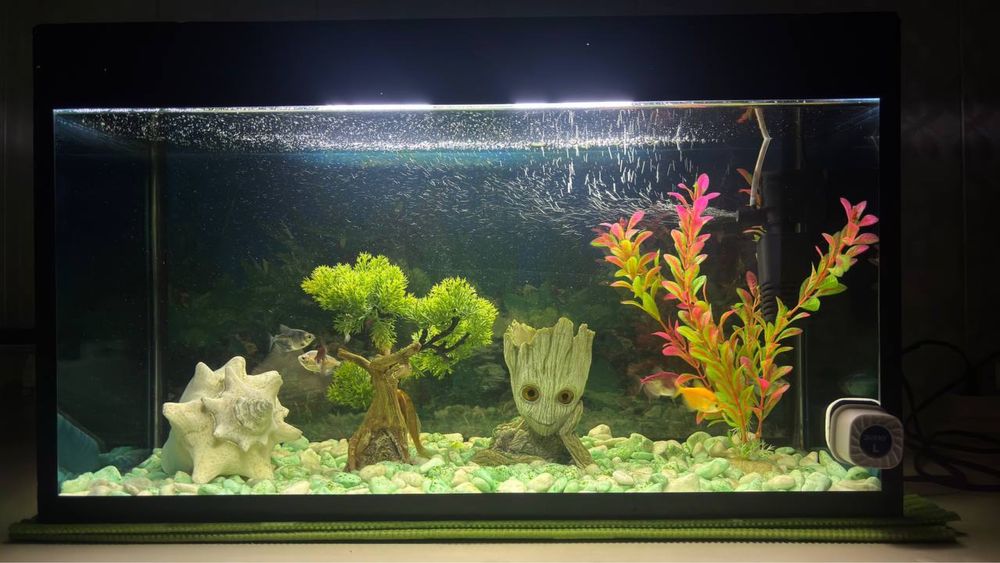 Продаю аквариум 40 литров