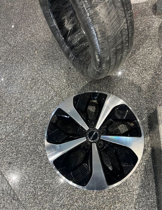 Диски BYD Song Plus R19