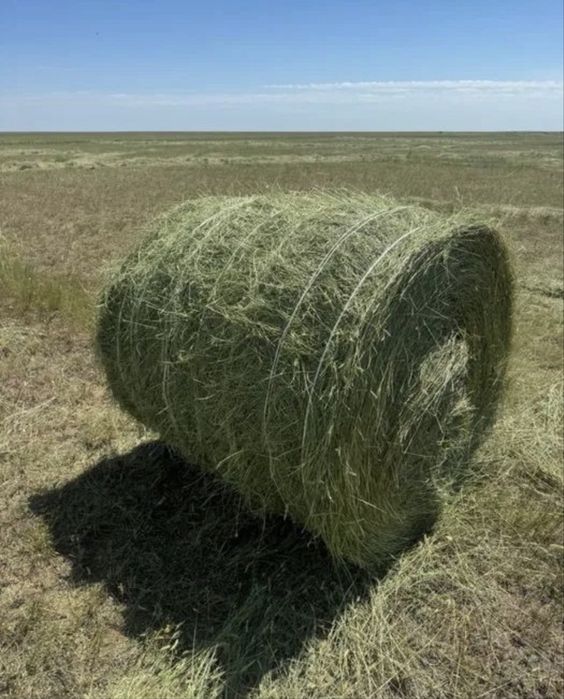 Продам рулон сено