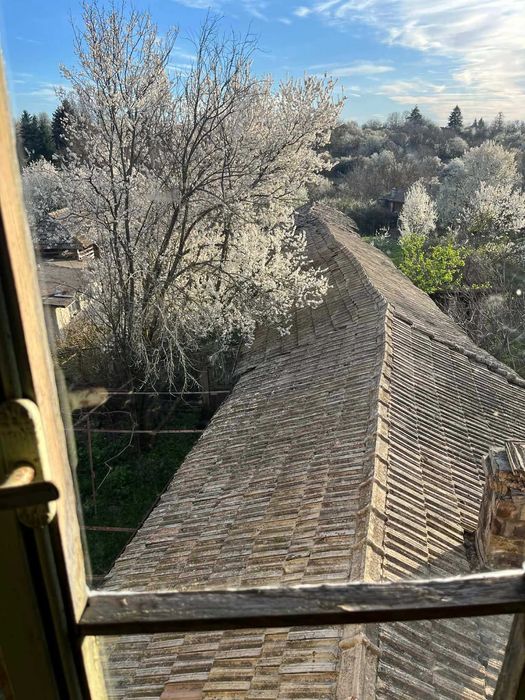 Къща с просторен двор в центъра на село Горица, община Попово