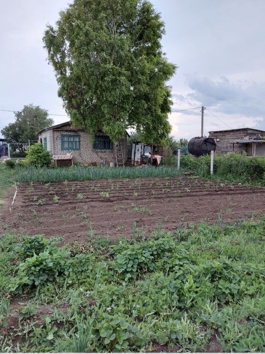 Продам дачу в Асане