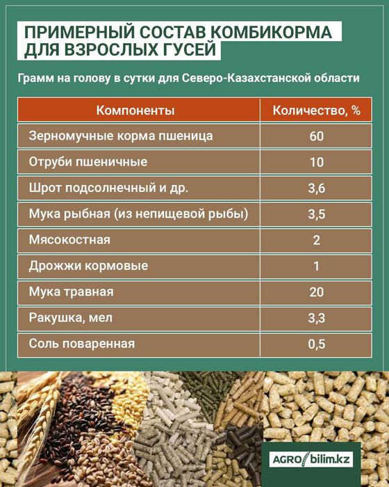 Комбикорм для уток и гусей. O'rdak va g'ozlar uchun ozuqa Yem.