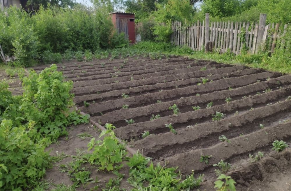 Продается дача Федоровка остановка Наука