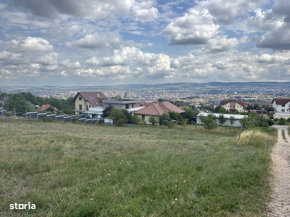 Teren generos Dambul Rotund/panorama