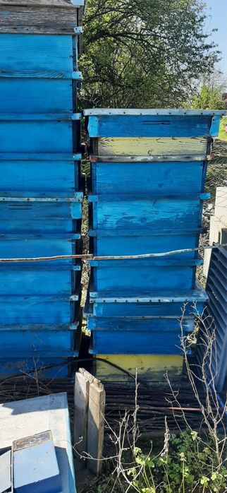 Кошери, магазини, капаци