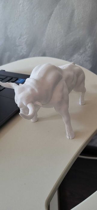 Белият Бик Spanisher  Stier