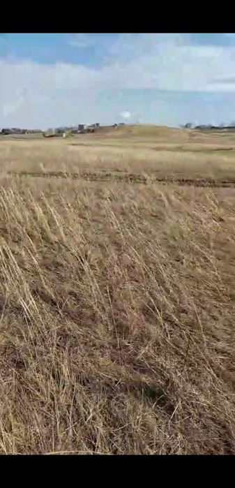 Участок 20 соток