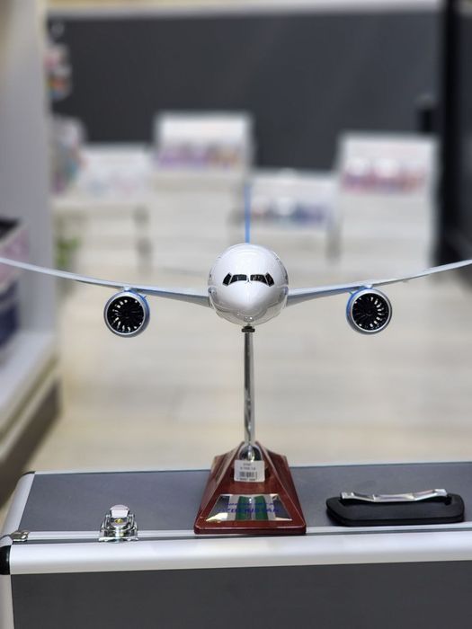 Самолёт Boeing 787 с чемоданом