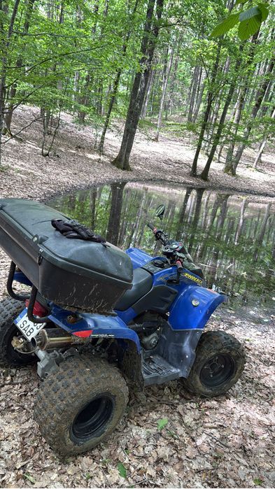 Polaris phoneix 200