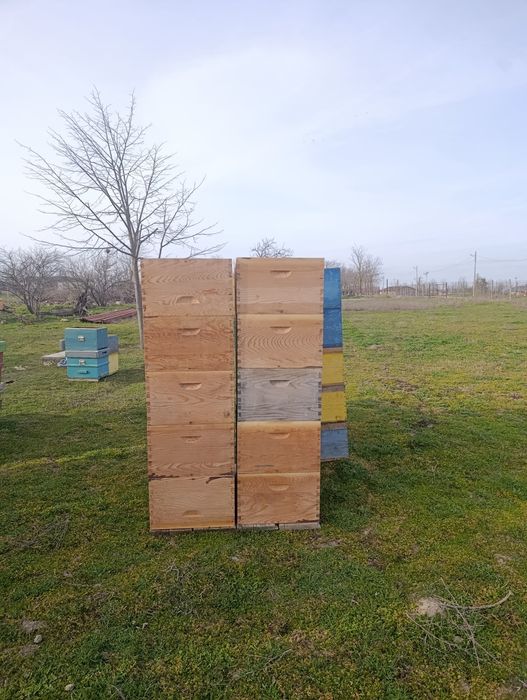 Caturi și cutii apicole