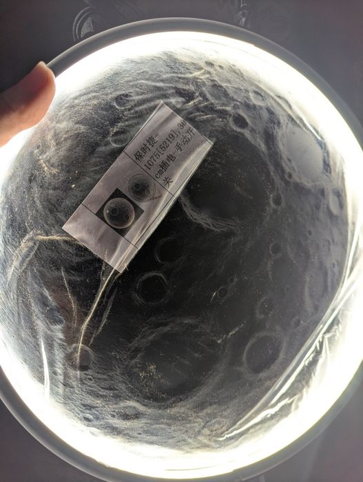 Декоративный светильник луна