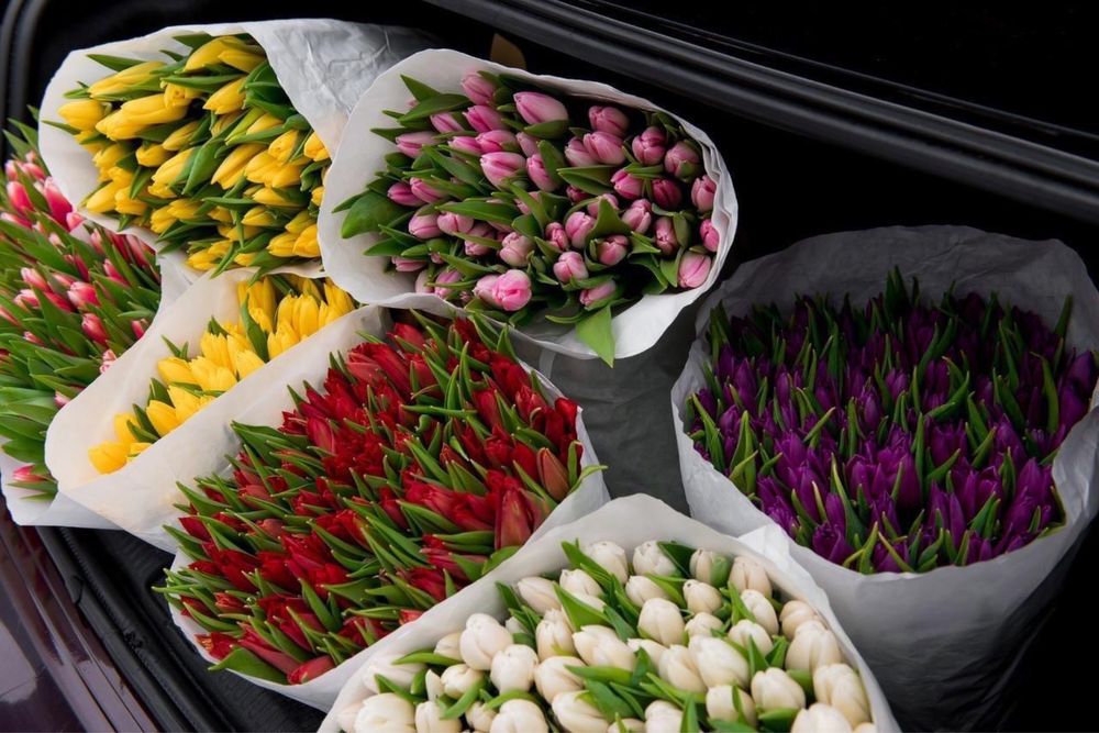 Продам тюльпаны розница опт 400 тг