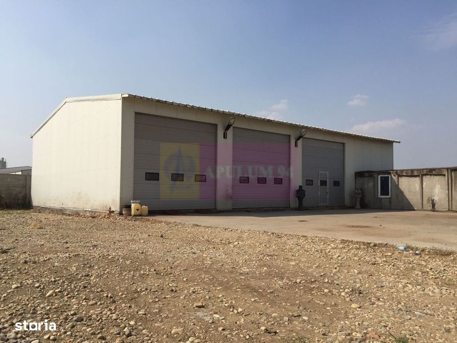 Hala Soseaua Bucuresti- Magurele- planul 2.