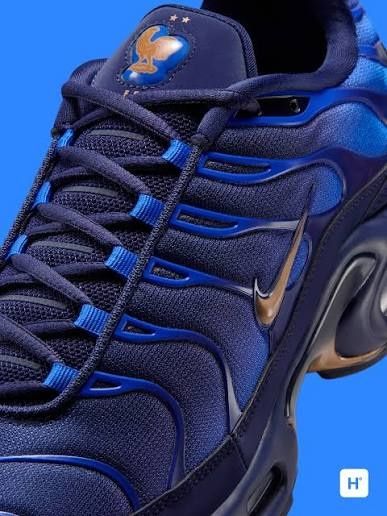 Nike Air Max Plus OG FR