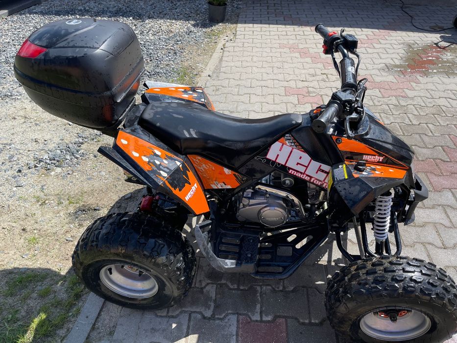 Atv Hecht 125 cm