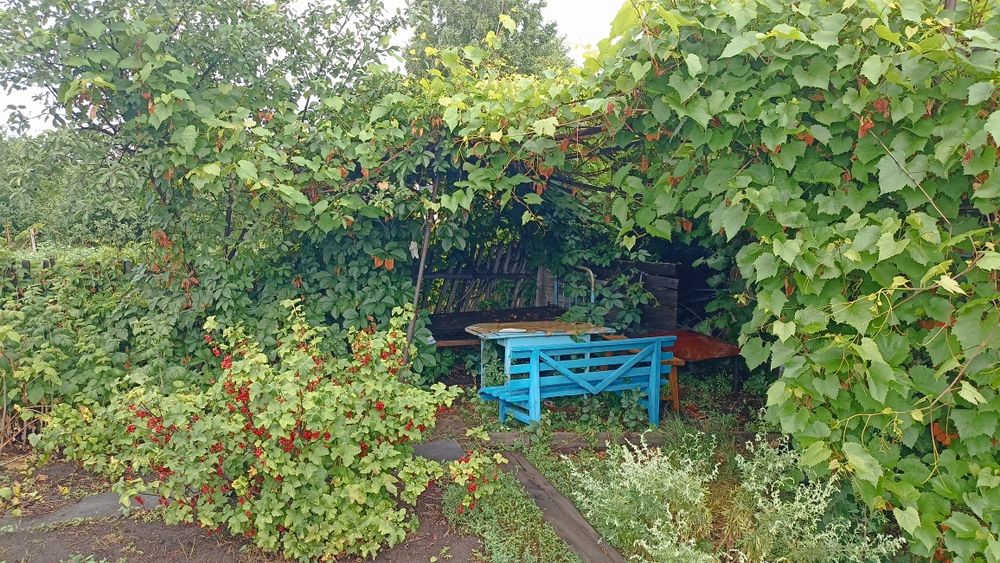 Дача СО Автомобилист