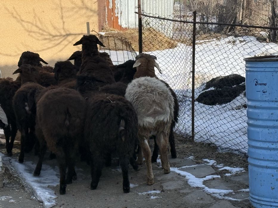 Срочно продается