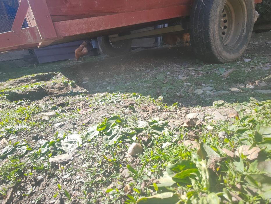 Vand remorca agricola