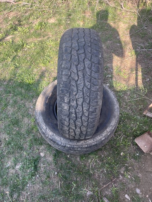 Шины ат все сизоный