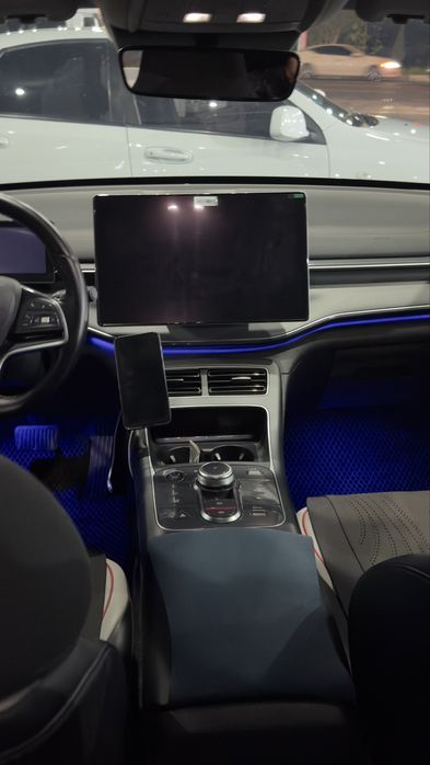 BYD chazor full flagship