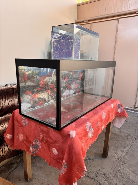 Продам аквариум.