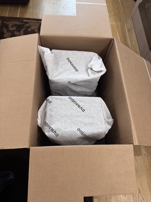 Dynaudio special forty