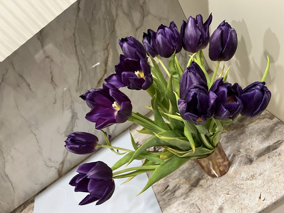 Тюльпаны без упаковки, 15 штук