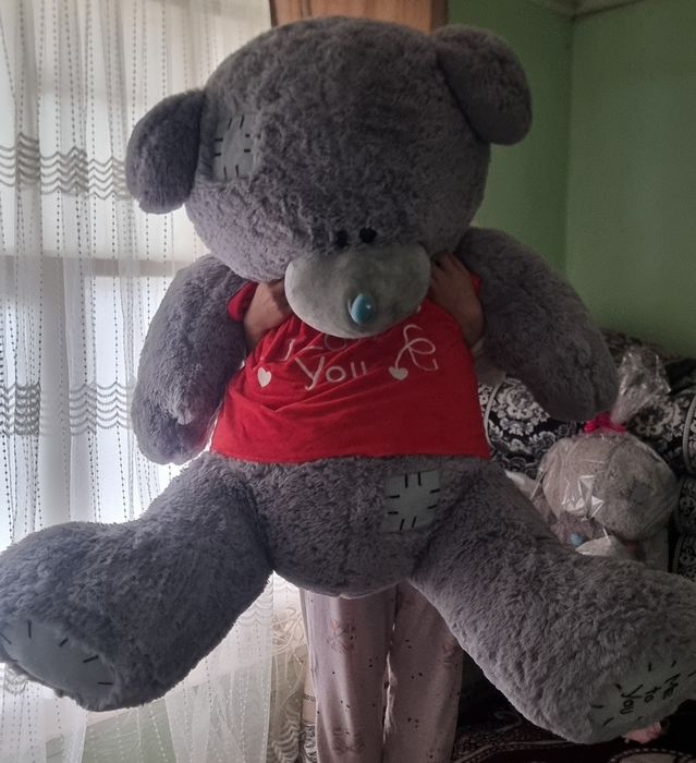 Tedy 1.5 m dogi yuq