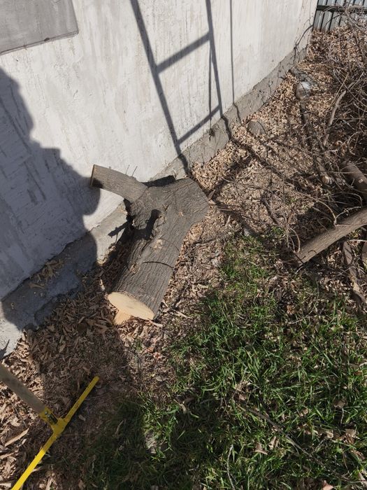 Продам на дрова. 10тенге