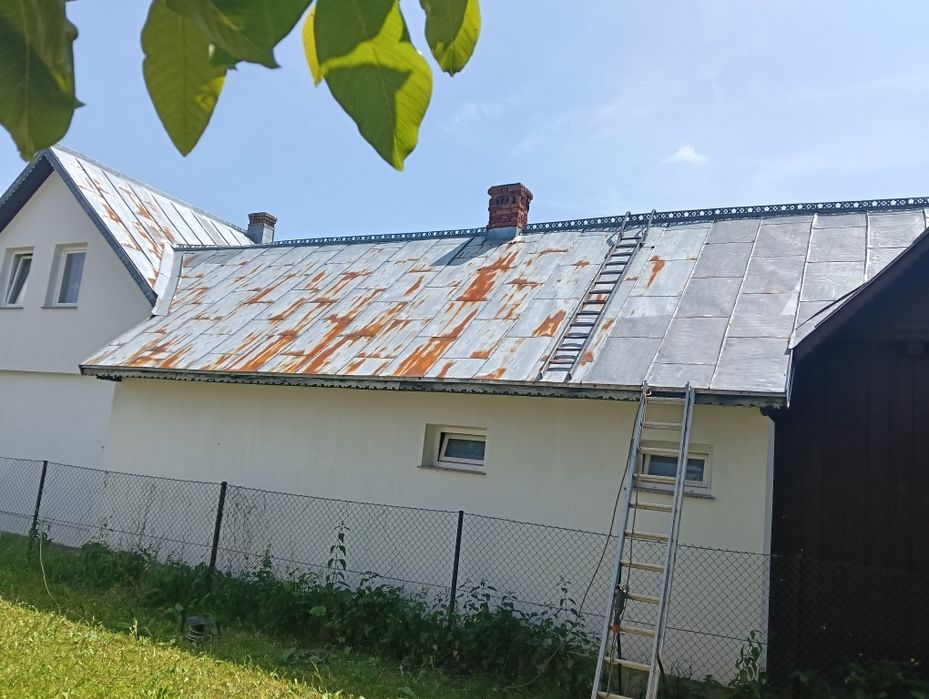 Vopsitor acoperișuri