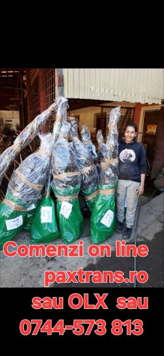 Baloti Rotunzi Lucerna min.40.or fan.Drept.min.500.Transport inclus>RO