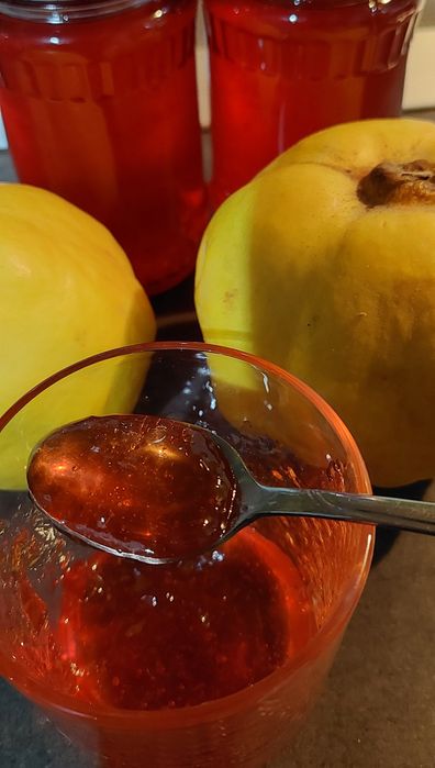 Peltea de gutui, bio