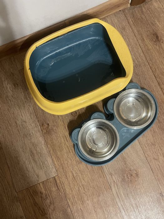 лоток и миски для котят