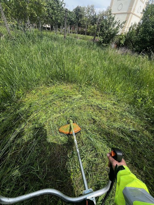 Cosim, Tăiem, Curățăm – Rapid și Eficient! Plus altele.