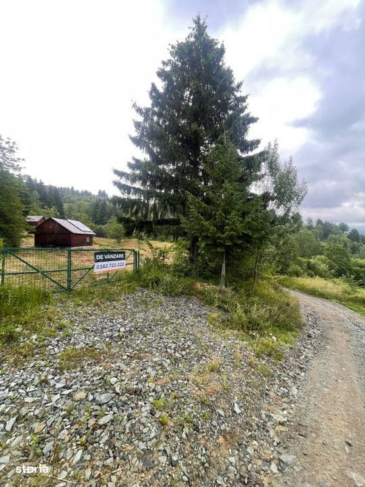 Cabana de vacanta, 60 mp, teren generos de 83 ari, zona Borsa, Maramur