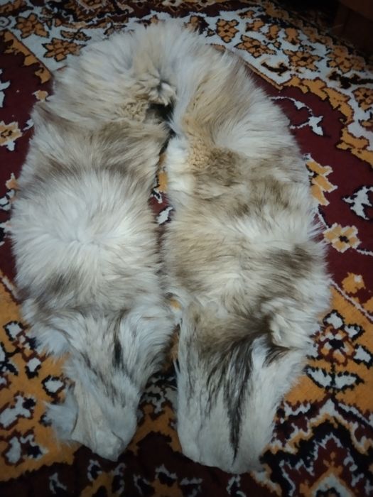 Скидка, Варатник. Лама ёқа. Оргинал