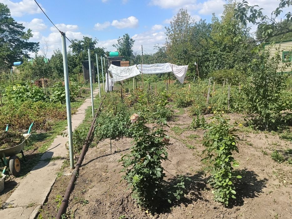Продам дачу в Топольке.
