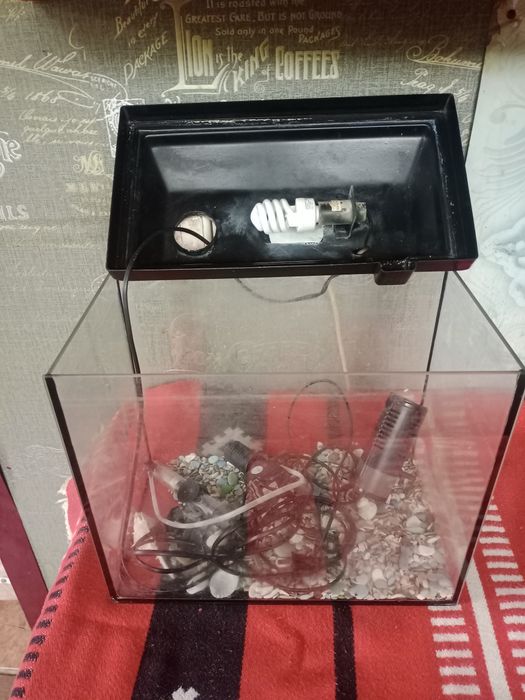 Продажа аквариума