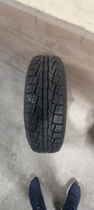 Шины всесезонка Cordiant