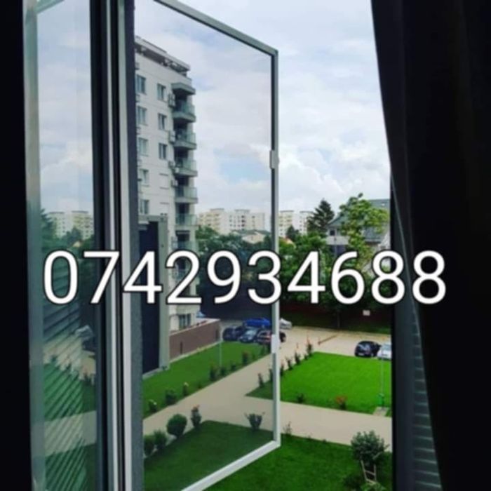 Plase insecte / tantari