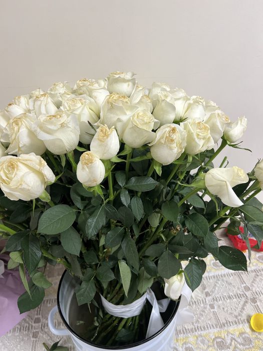 101 галански ақ роза сатамын