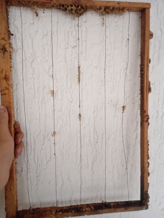 Рамки для улей пустые и с сотами