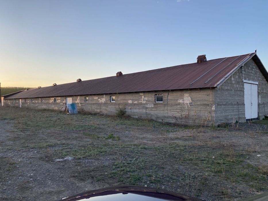 Откорм Мал бордақы