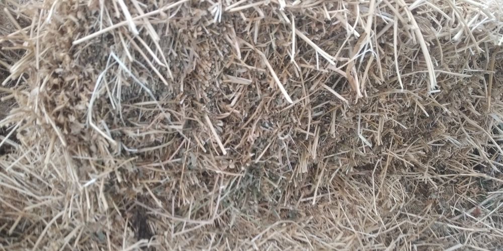 Беда пресс. Маккайи поя. Сотилади