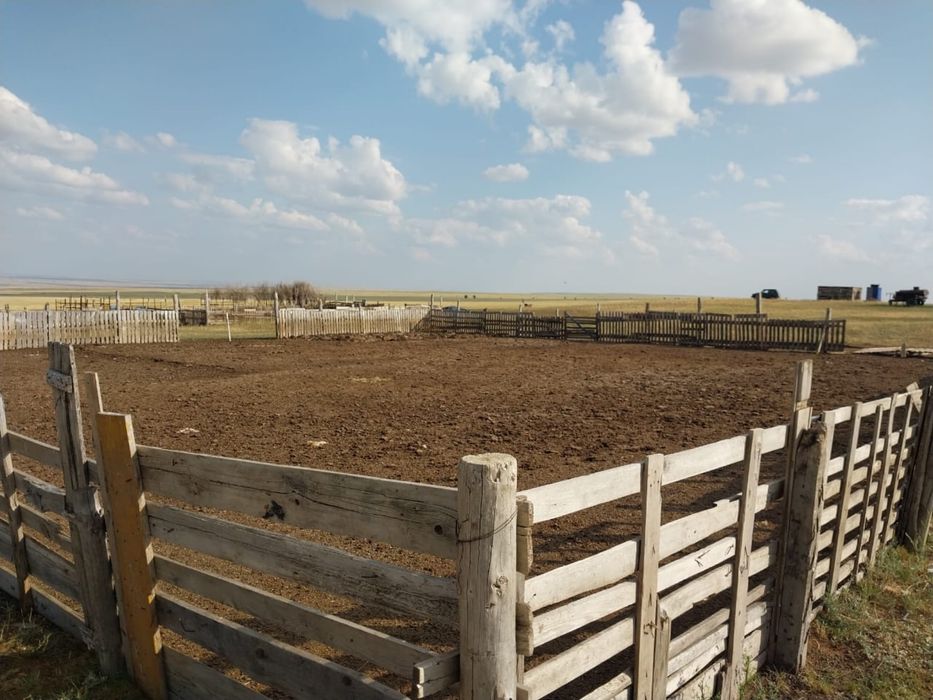 Продам крестьянское хозяйство