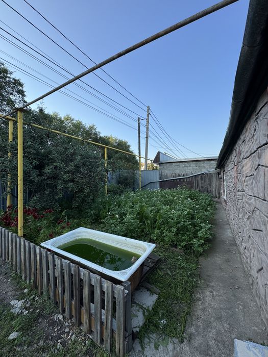 Дом с огородом, участок