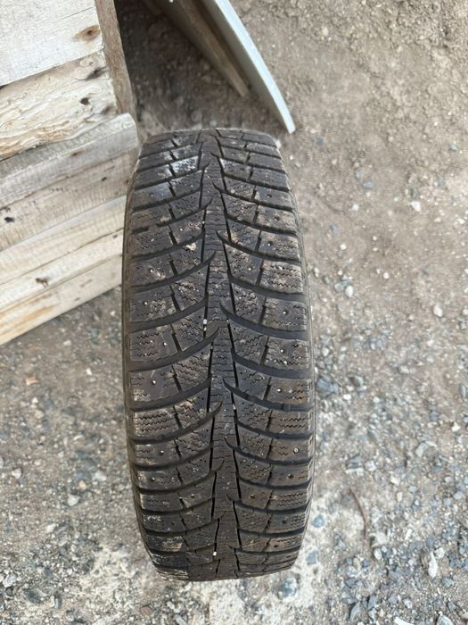 Шины кыскы донгелекк