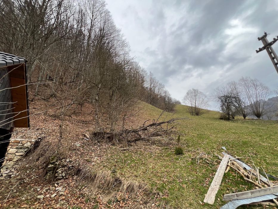 Teren intravilan 12.800 mp investitie