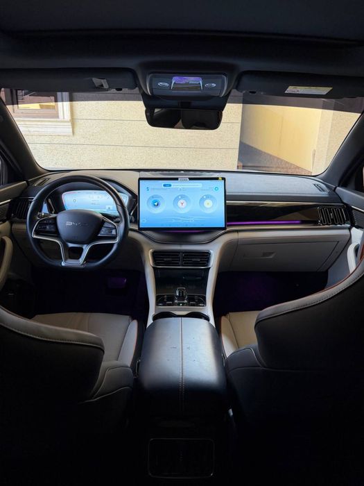 BYD CHEMPION. kraska toza